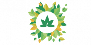 nimble_asset_logo-website