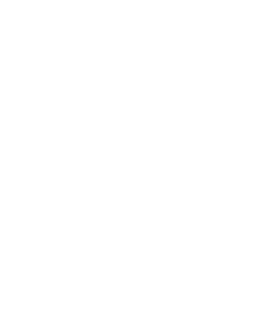nimble_asset_logo-website-blanc